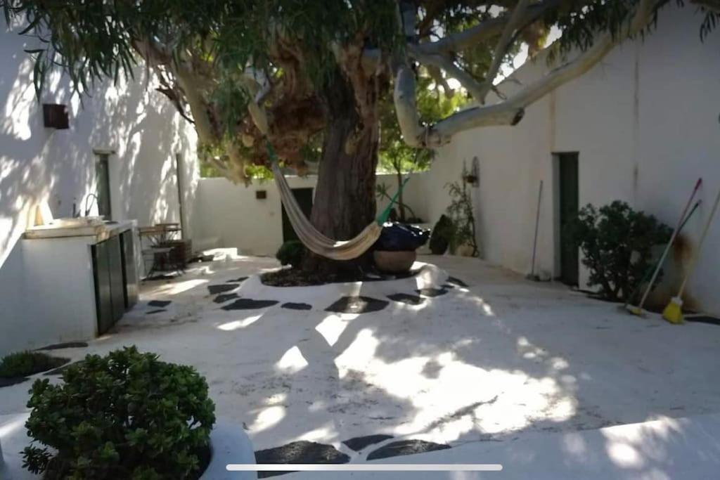 Lovely Studio In Original Finca La Asomada  Exterior photo